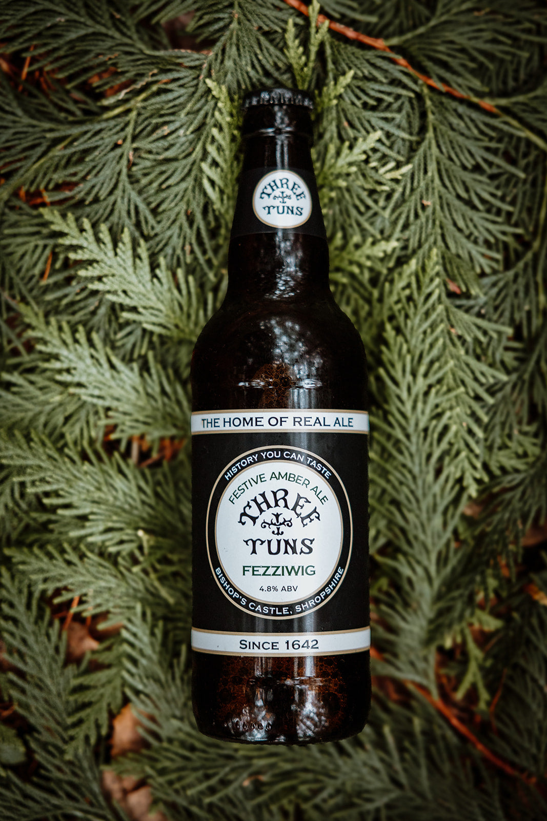 Fezziwig Case of 12 Bottles