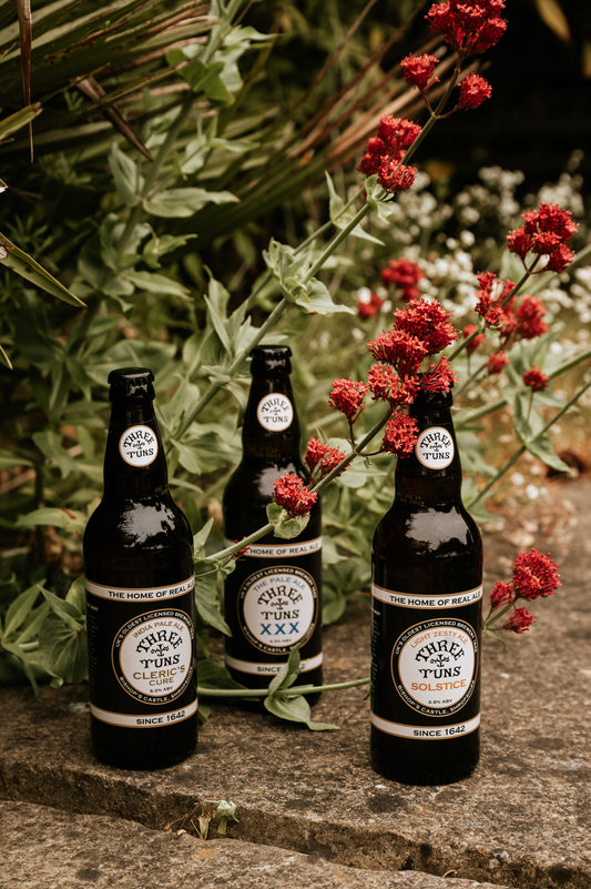 Pale Ales Mixed Case of 12 Bottles